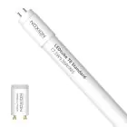 Noxion Tube LED T8 Avant (EM/Direct 230V) Standard Output 15W 1800lm - 865 Lumière Du Jour | 120cm - Équivalent 36W