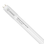 Ledvance LED Buis T8 Value (UN) High Output 24W 2800lm - 840 Koel Wit | 150cm - Vervangt 58W