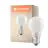 Ledvance Classic LED E27 Peer Filament Mat 7.5W 1055lm - 940 Cool white | Beste Kleurweergave - Dimbaar - Vervangt 75W